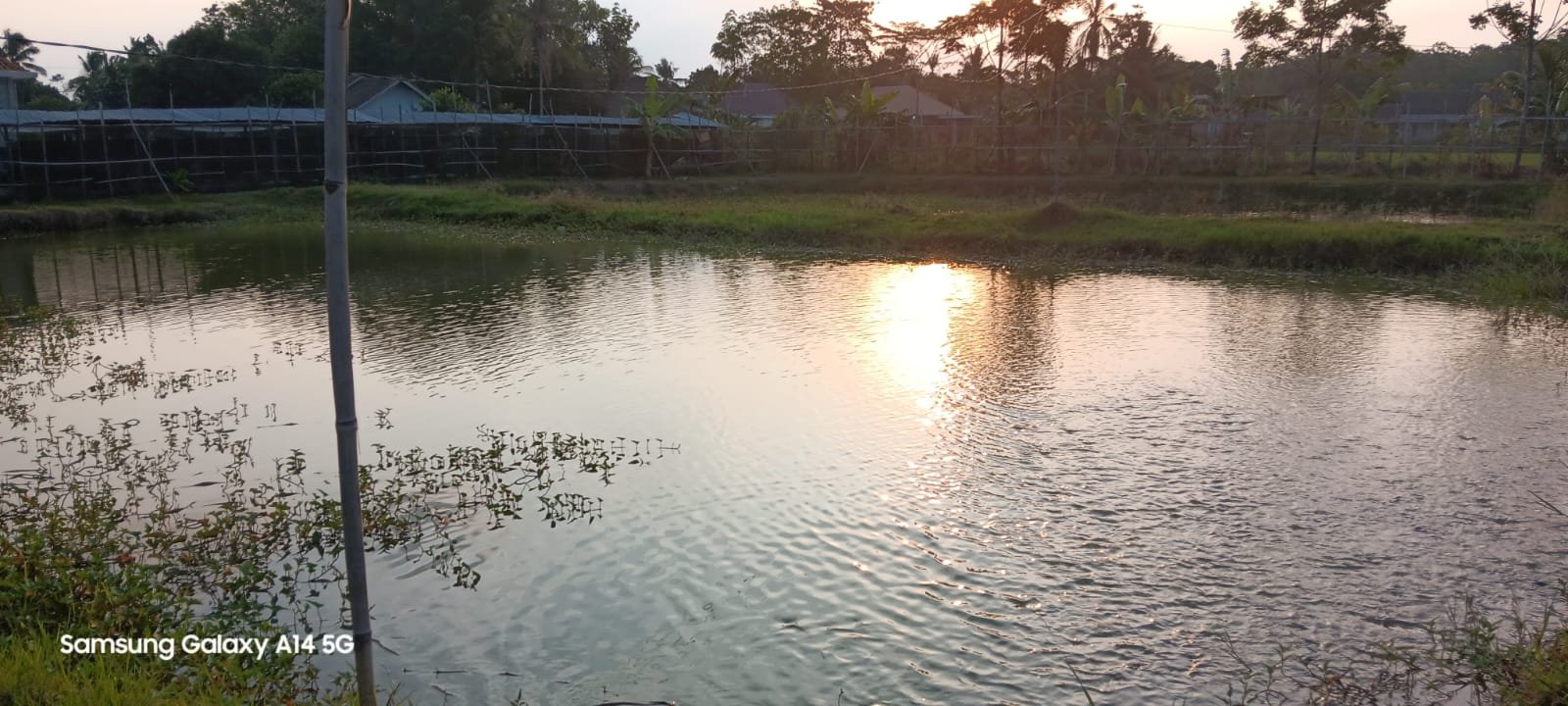 IMG-20240811-WA0067