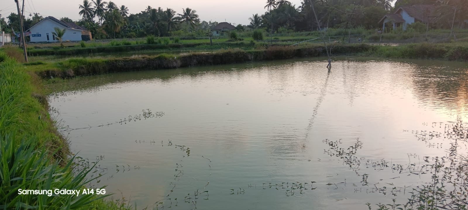 IMG-20240811-WA0069