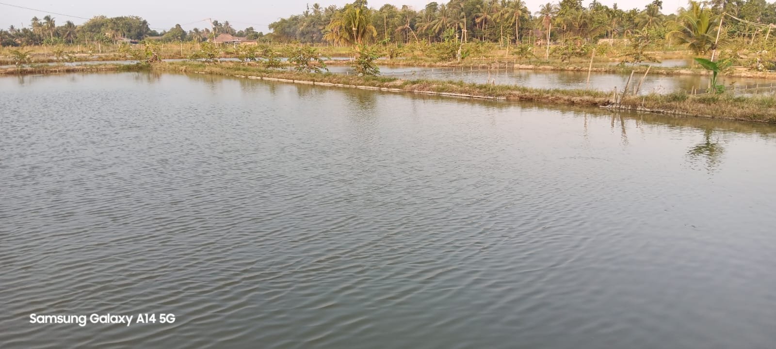IMG-20240811-WA0070